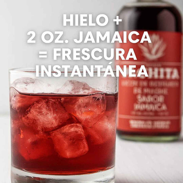 Jamaica 750mL: Sabor que Sorprende – Licor de Pulque Artesanal