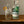 Gin 750mL: Herbal Distinto – Edición Limitada