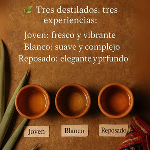 3 Pack 750mL: 3 Sabores, 3 Momentos – Joven, Blanco y Reposado