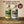 2 Pack Exclusivo: Destilado de Pulque Blanco 47° y Joven – 750 mL