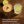 2 Pack: Destilado de Pulque Joven y Licor de Café – 750 mL