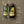 2 Pack: Destilado de Pulque Joven y Licor de Café – 750 mL
