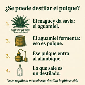 ¿Se puede destilar el pulque? El maguey da savia, el aguamiel fermenta y se vuelve pulque, ese pulque entra al alambique y lo que sale es un destilado