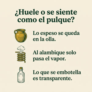 ¿Huele o se siente como el pulque? Lo espeso se queda en la olla, al alambique solo pasa el vapor, lo que se embotella es transparente