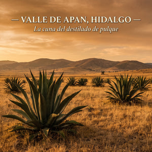 Valle de Apan, Hidalgo — la cuna del destilado de pulque