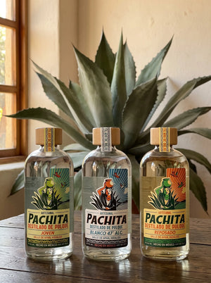 Paquete 3 Sabores de destilado de pulque Pachita: Joven, Blanco 47° y Reposado en 750 mL, sobre mesa de madera con maguey salmiana