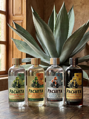 4 Pack de destilado de pulque Pachita: Joven, Reposado, Blanco 47° y licor de café en 750 mL
