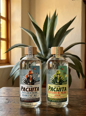El Clásico: destilado de pulque Pachita Blanco 47° y Joven en 750 mL, sobre mesa de madera con maguey salmiana