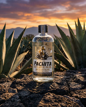 Cristalino agave Valle de Apan