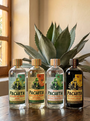 Paquete Evolución de Sabor: destilado de pulque Pachita Joven, Reposado, Gin y licor de café en 750 mL
