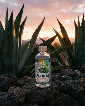 Gin agave Valle de Apan