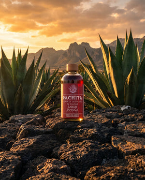 Jamaica agave Valle de Apan