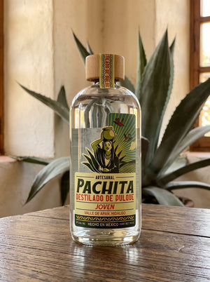 Botella de destilado de pulque Pachita Joven 37°, 750 mL, sobre mesa de madera con maguey salmiana