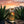 Reposado agave Valle de Apan