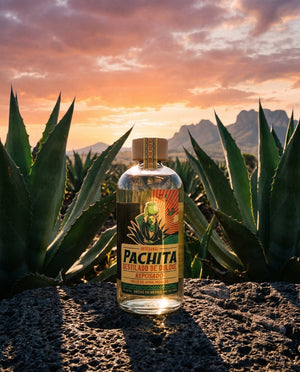 Reposado agave Valle de Apan