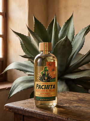 Botella de destilado de pulque Pachita Reposado 37°, 750 mL, sobre mesa de madera con maguey salmiana