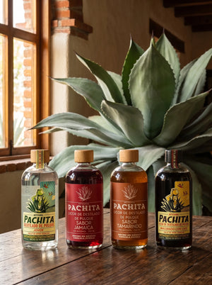 Paquete Sabor Completo: destilado de pulque Pachita Joven y licores de jamaica, tamarindo y café en 750 mL
