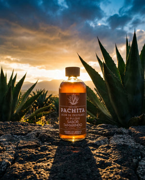 Tamarindo agave Valle de Apan