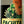 Botella de Pachita Reposado, destilado de pulque, 750 mL