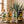 Paquete Pachita: botellas en escena