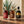 Paquete Pachita: botellas en escena