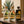Paquete Pachita: botellas en escena