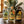 Las botellas del paquete sobre mesa de madera